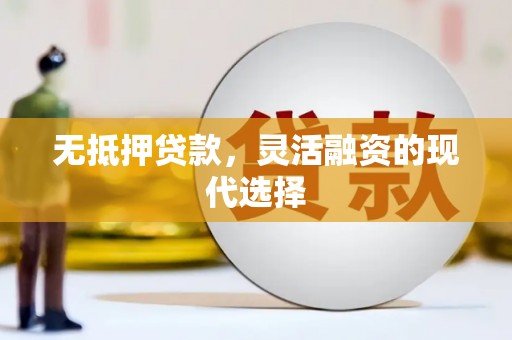 隆回无抵押贷款，灵活融资的现代选择