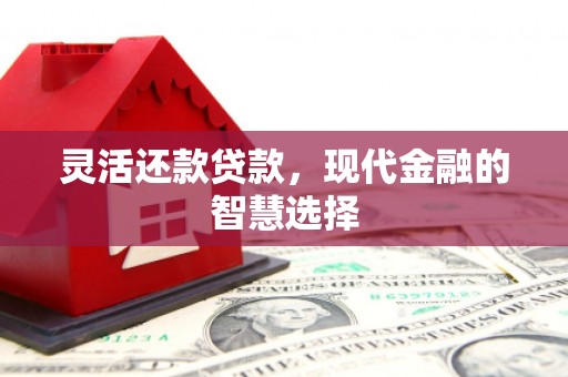 隆回灵活还款贷款，现代金融的智慧选择