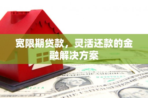 隆回宽限期贷款，灵活还款的金融解决方案