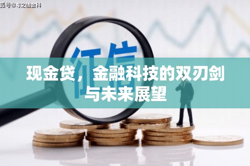 隆回现金贷，金融科技的双刃剑与未来展望