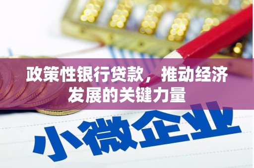 隆回政策性银行贷款，推动经济发展的关键力量
