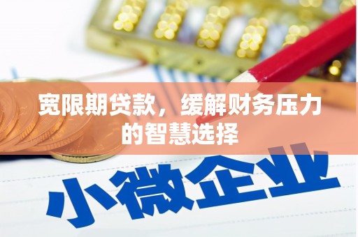 隆回宽限期贷款，缓解财务压力的智慧选择