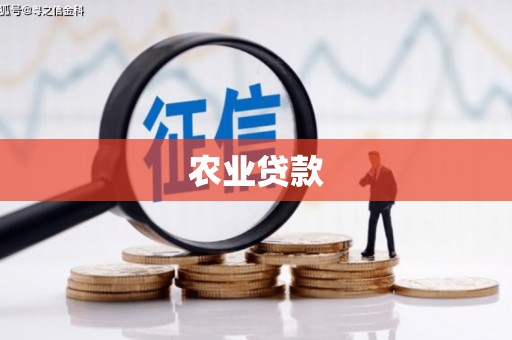 隆回农业贷款
