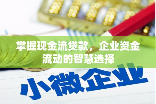 隆回掌握现金流贷款，企业资金流动的智慧选择