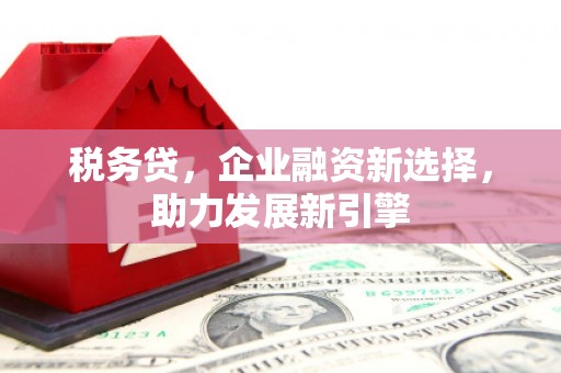 隆回税务贷，企业融资新选择，助力发展新引擎
