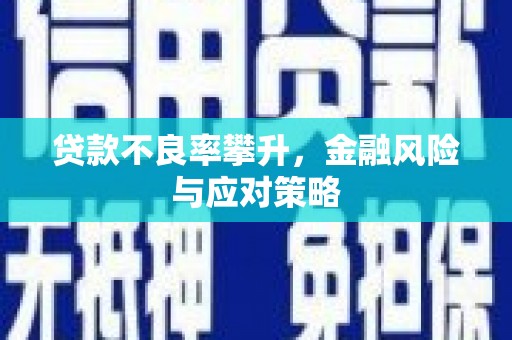 隆回贷款不良率攀升，金融风险与应对策略