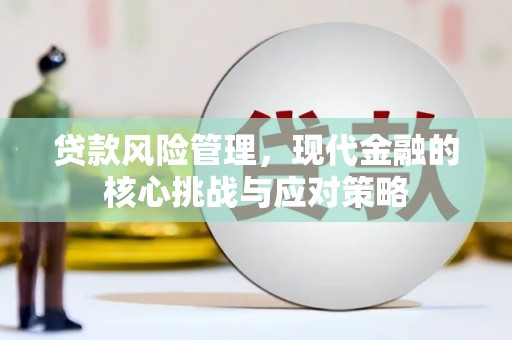 隆回贷款风险管理，现代金融的核心挑战与应对策略