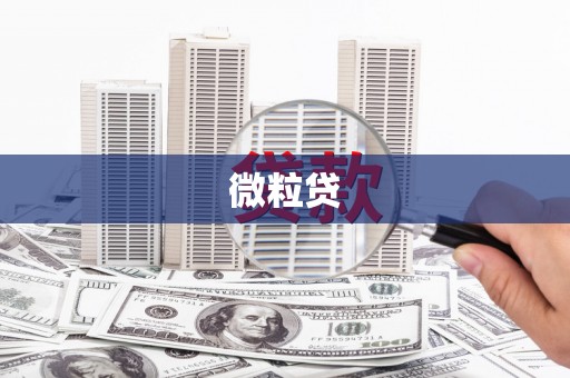 隆回微粒贷