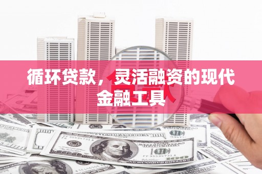 隆回循环贷款，灵活融资的现代金融工具
