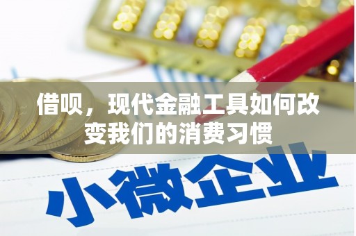 隆回借呗，现代金融工具如何改变我们的消费习惯