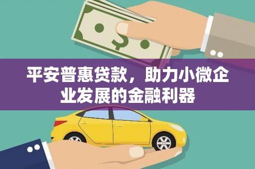 隆回平安普惠贷款，助力小微企业发展的金融利器