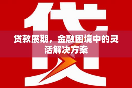 隆回贷款展期，金融困境中的灵活解决方案