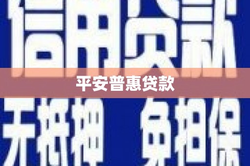 隆回平安普惠贷款