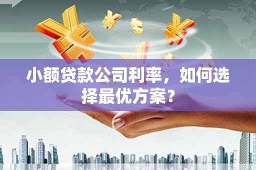 隆回小额贷款公司利率，如何选择最优方案？