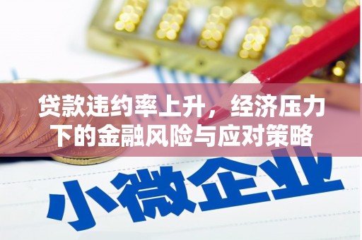 隆回贷款违约率上升，经济压力下的金融风险与应对策略