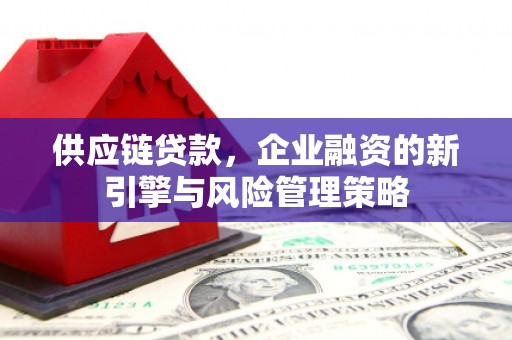 隆回供应链贷款，企业融资的新引擎与风险管理策略