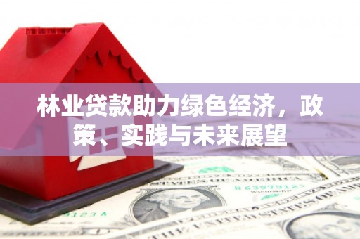 隆回林业贷款助力绿色经济，政策、实践与未来展望