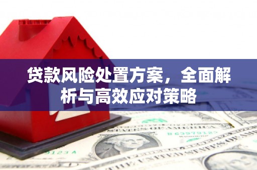 隆回贷款风险处置方案，全面解析与高效应对策略