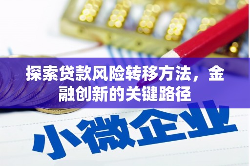 隆回探索贷款风险转移方法，金融创新的关键路径