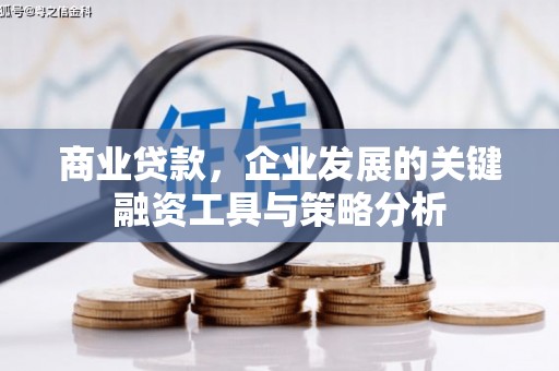 隆回商业贷款，企业发展的关键融资工具与策略分析