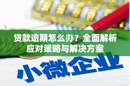 隆回贷款逾期怎么办？全面解析应对策略与解决方案