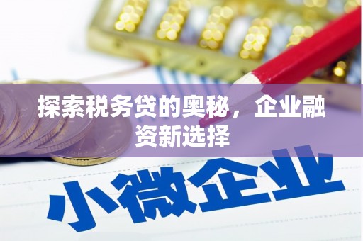 隆回探索税务贷的奥秘，企业融资新选择
