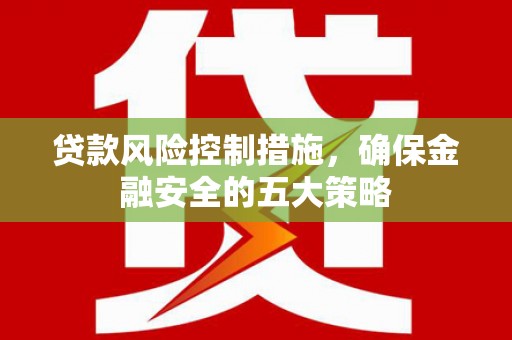 隆回贷款风险控制措施，确保金融安全的五大策略