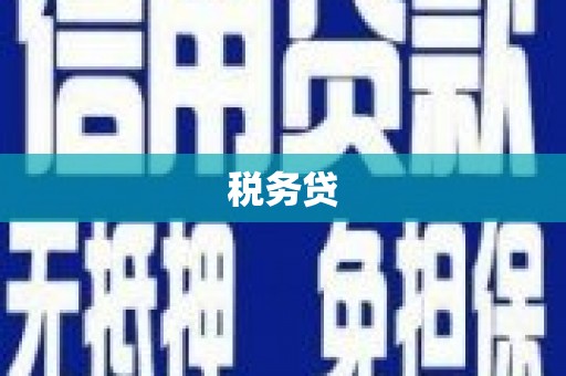 隆回税务贷