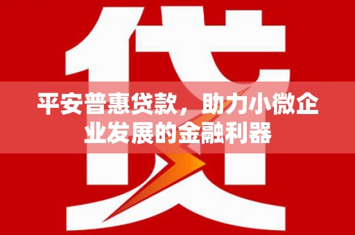 隆回平安普惠贷款，助力小微企业发展的金融利器