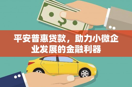 隆回平安普惠贷款，助力小微企业发展的金融利器