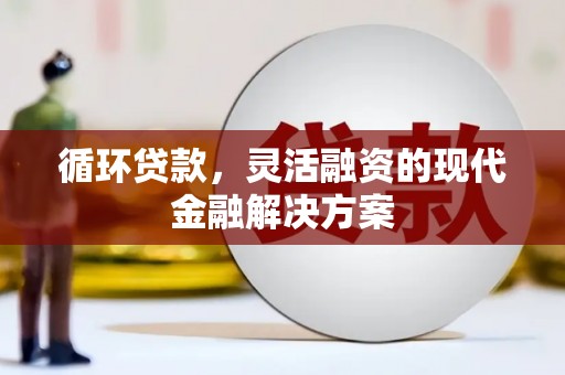 隆回循环贷款，灵活融资的现代金融解决方案