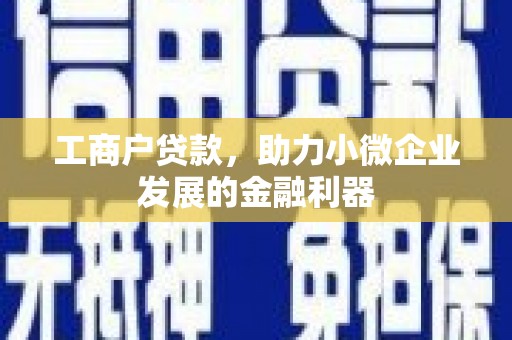 隆回工商户贷款，助力小微企业发展的金融利器