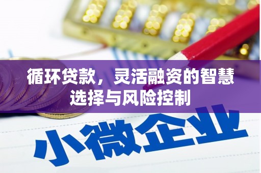 隆回循环贷款，灵活融资的智慧选择与风险控制