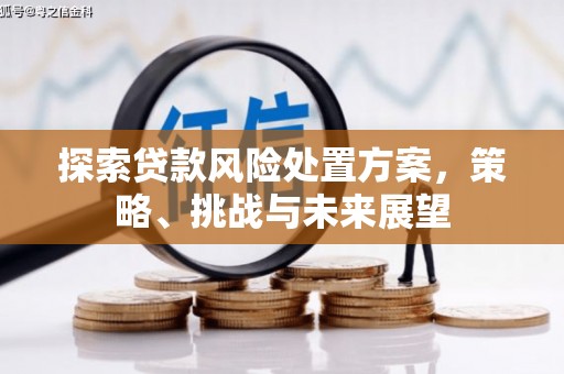 隆回探索贷款风险处置方案，策略、挑战与未来展望