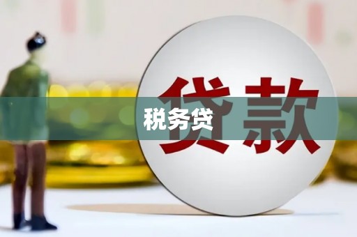 隆回税务贷