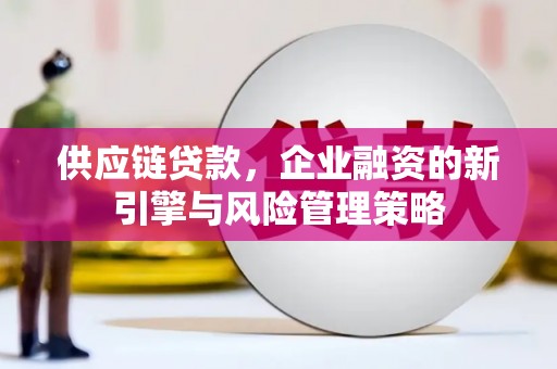 隆回供应链贷款，企业融资的新引擎与风险管理策略