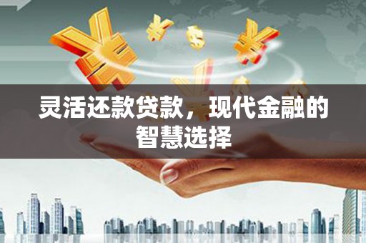 隆回灵活还款贷款，现代金融的智慧选择