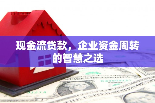 隆回现金流贷款，企业资金周转的智慧之选