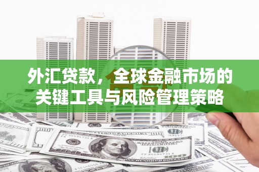 隆回外汇贷款，全球金融市场的关键工具与风险管理策略