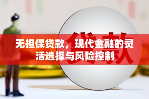 隆回无担保贷款，现代金融的灵活选择与风险控制