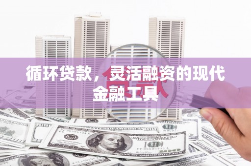 隆回循环贷款，灵活融资的现代金融工具