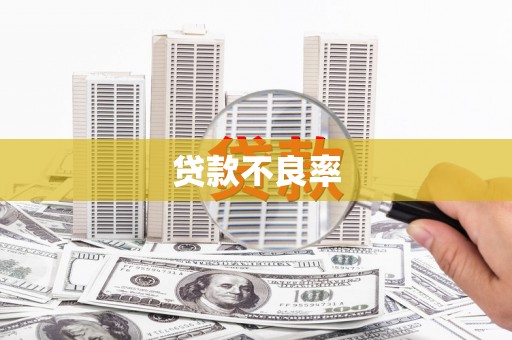 隆回贷款不良率
