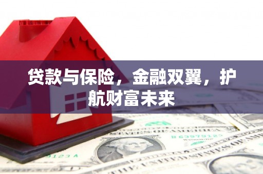隆回贷款与保险，金融双翼，护航财富未来