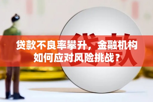 隆回贷款不良率攀升，金融机构如何应对风险挑战？