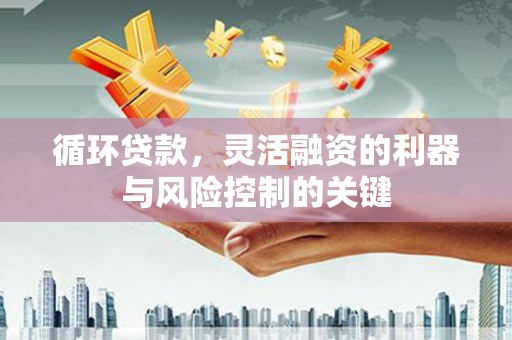 隆回循环贷款，灵活融资的利器与风险控制的关键