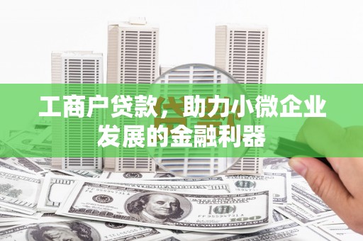 隆回工商户贷款，助力小微企业发展的金融利器
