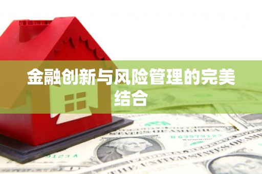 隆回金融创新与风险管理的完美结合