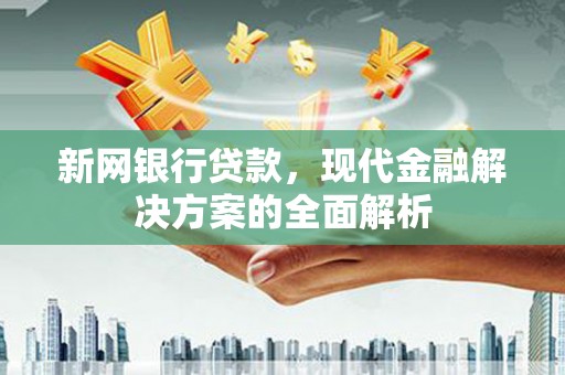 隆回新网银行贷款，现代金融解决方案的全面解析
