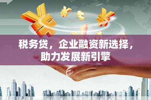 隆回税务贷，企业融资新选择，助力发展新引擎
