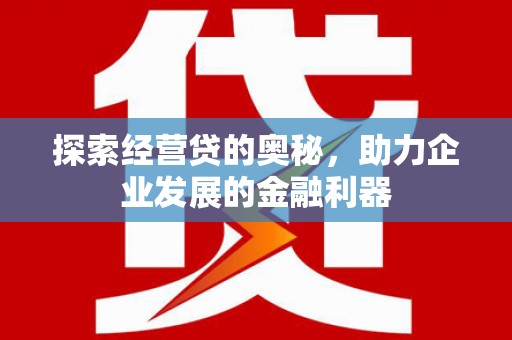 隆回探索经营贷的奥秘，助力企业发展的金融利器